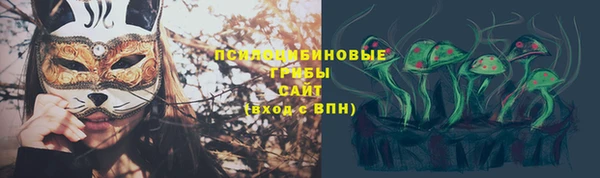 соль ск Богородск