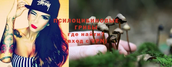 прущие грибы Карпинск