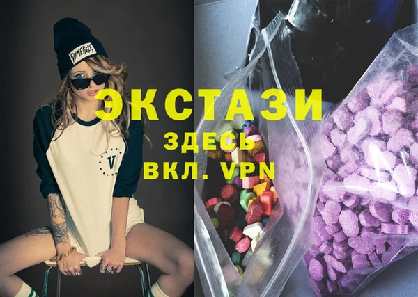 молекула духа Богородицк