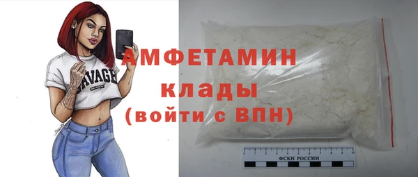 мдпв Богданович