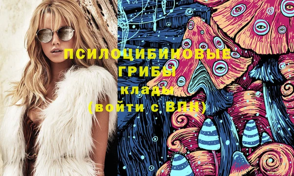 мдпв Богданович