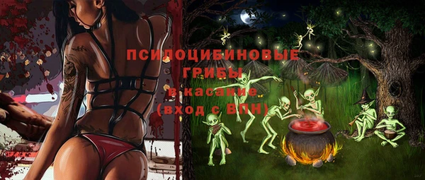 мдпв Богданович