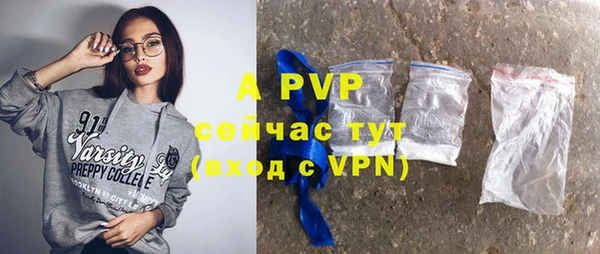 мдпв Богданович