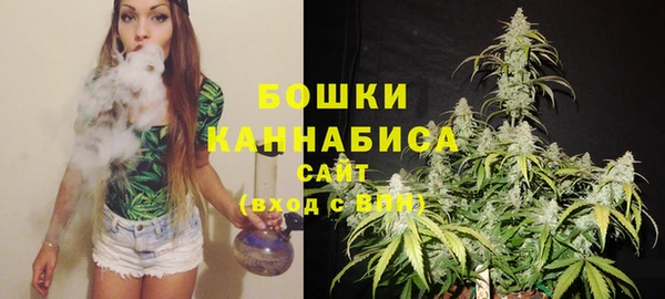 молекула духа Богородицк