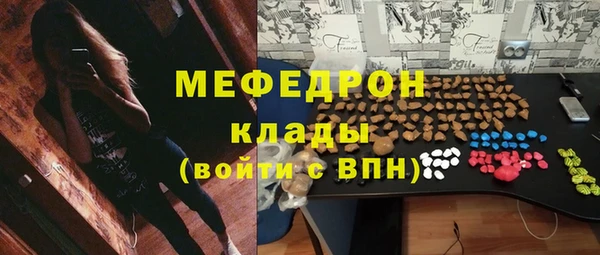 молекула духа Богородицк