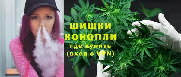 мдпв Богданович