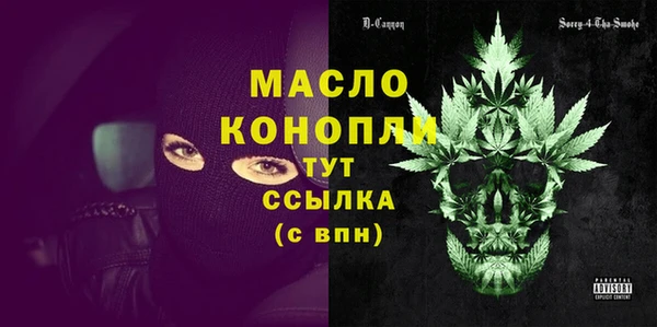 молекула духа Богородицк