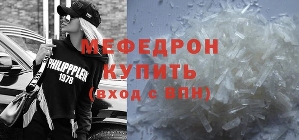 молекула духа Богородицк