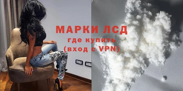 молекула духа Богородицк