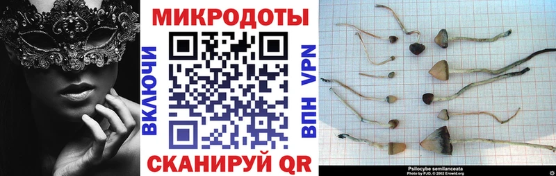 Псилоцибиновые грибы GOLDEN TEACHER  Гусиноозёрск 
