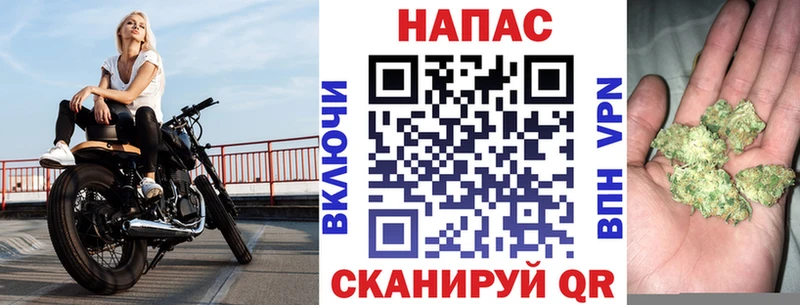 МЕГА ссылки  это телеграм  Конопля семена  Гусиноозёрск 